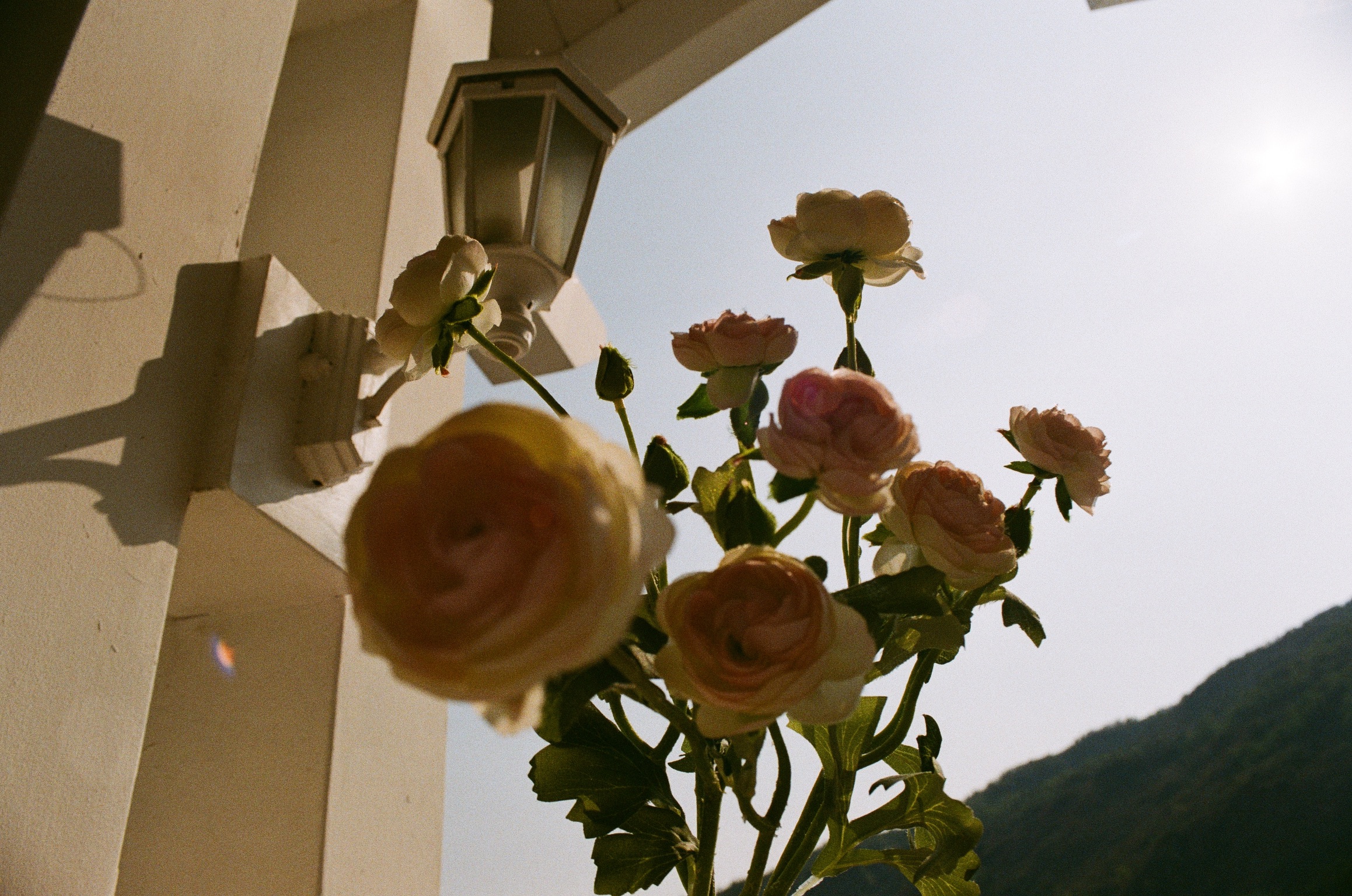 Kodak GOLD #4